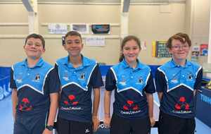 Programme des 13 et 14 décembre : sixième journée de championnat par équipes