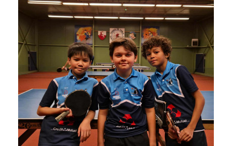 Bilan des 15 et 16 novembre : quatrième journée de championnat par équipes