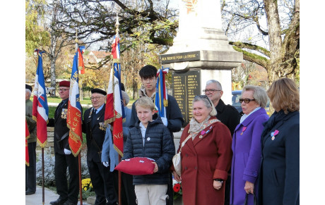 Cérémonie du 11 novembre