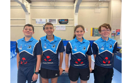 Programme des 13 et 14 décembre : sixième journée de championnat par équipes