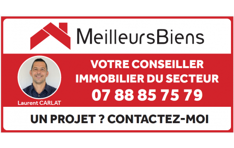 Laurent Carlat Immobilier